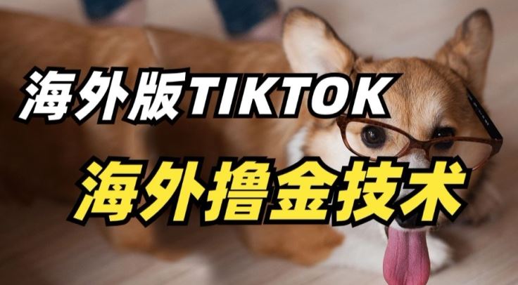 抖音海外版tiktok撸金技术，这个风口行业，赚钱真的不难【揭秘】-东升网创