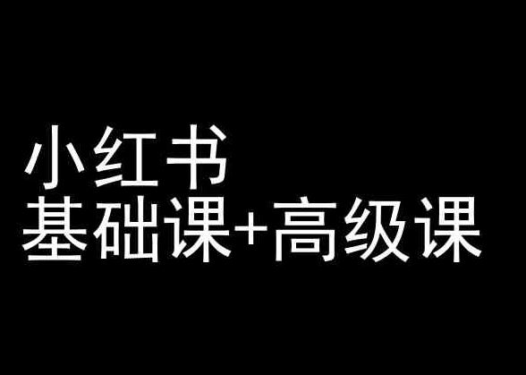 小红书基础课+高级课-小红书运营教程-东升网创