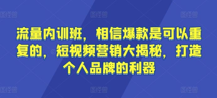 流量内训班，相信爆款是可以重复的，短视频营销大揭秘，打造个人品牌的利器-东升网创