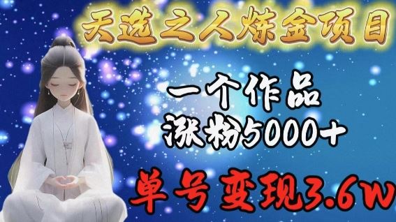 天选之人炼金项目，一个作品涨粉5000+，单号变现3.6w【揭秘】-东升网创