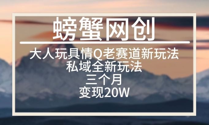 大人玩具情Q用品赛道私域全新玩法，三个月变现20W，老项目新思路【揭秘】-东升网创