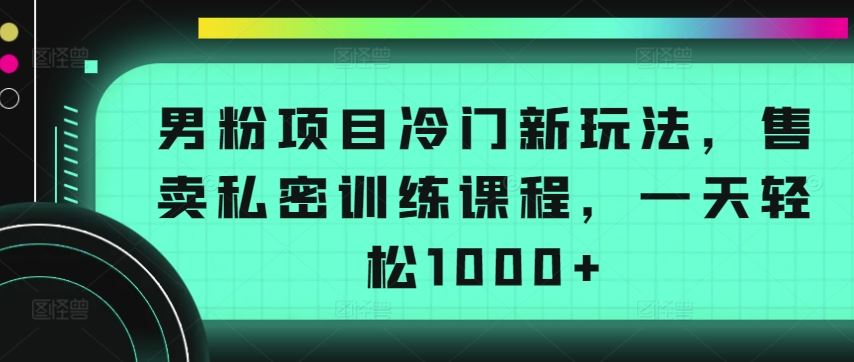 男粉项目冷门新玩法，售卖私密训练课程，一天轻松1000+【揭秘】-东升网创