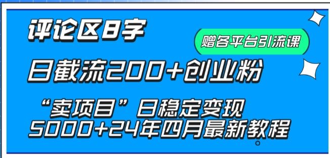 抖音评论区8字日截流200+创业粉 “卖项目”日稳定变现5000+【揭秘】-东升网创