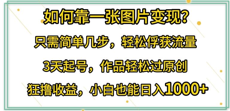 如何靠一张图片变现?只需简单几步，轻松俘获流量，3天起号，作品轻松过原创【揭秘】-东升网创
