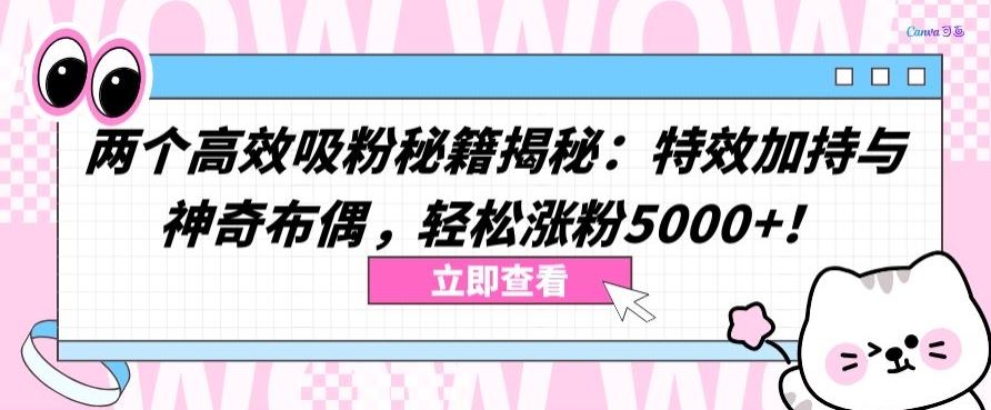 两个高效吸粉秘籍揭秘：特效加持与神奇布偶，轻松涨粉5000+【揭秘】-东升网创