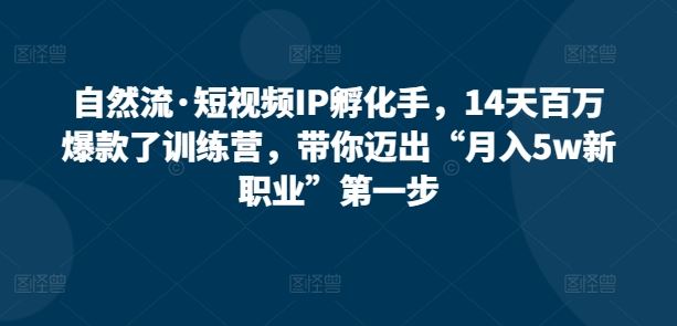 自然流·短视频IP孵化手，14天百万爆款了训练营，带你迈出“月入5w新职业”第一步-东升网创