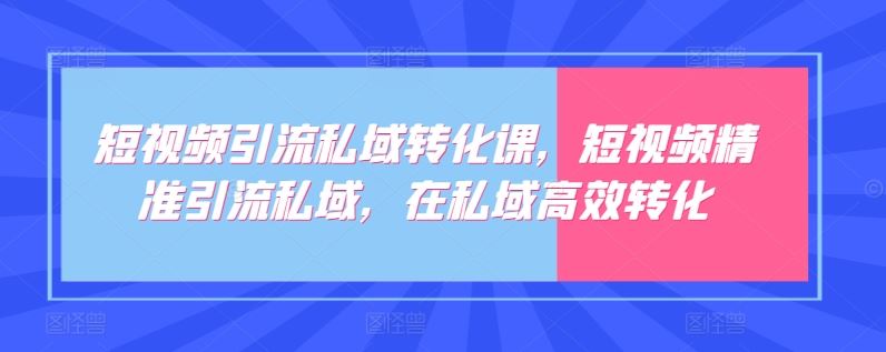 短视频引流私域转化课，短视频精准引流私域，在私域高效转化-东升网创