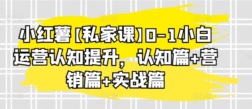 小红薯【私家课】0-1小白运营认知提升，认知篇+营销篇+实战篇-东升网创
