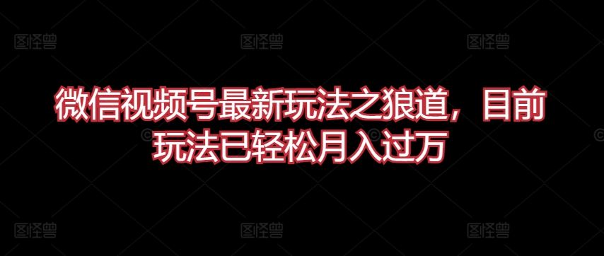 微信视频号最新玩法之狼道，目前玩法已轻松月入过万【揭秘】-东升网创