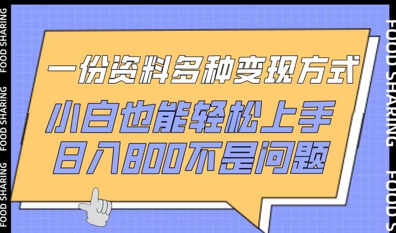 一份资料多种变现方式，小白也能轻松上手，日入800不是问题【揭秘】-东升网创