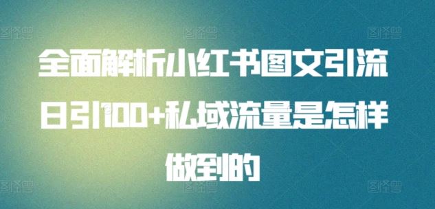 全面解析小红书图文引流日引100+私域流量是怎样做到的【揭秘】-东升网创