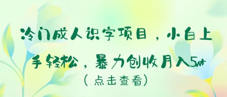 冷门成人识字项目，小白上手轻松，暴力创收月入5w+【揭秘】-东升网创