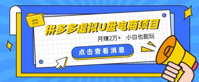 拼多多虚拟U盘电商红利项目：月赚2万+，新手小白也能玩-东升网创