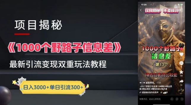 一千个野路子信息差最新玩法教程-变现+引流的玩法具体拆解【揭秘】-东升网创