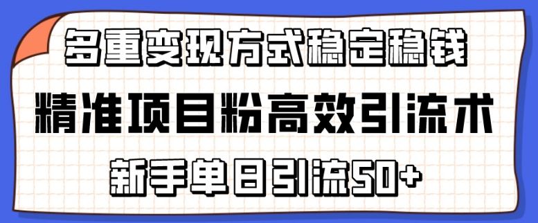 精准项目粉高效引流术，新手单日引流50+，多重变现方式稳定赚钱【揭秘】-东升网创