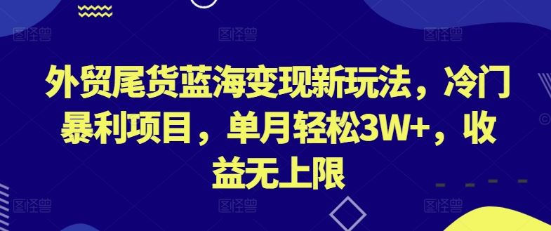 外贸尾货蓝海变现新玩法，冷门暴利项目，单月轻松3W+，收益无上限【揭秘】-东升网创