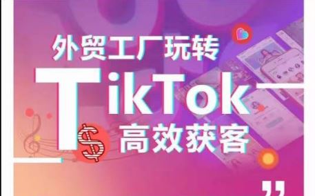 外贸工厂玩转TikTok高效获客，多种引流方式与账号定位技巧，拆解爆款短视频打造成功案例-东升网创