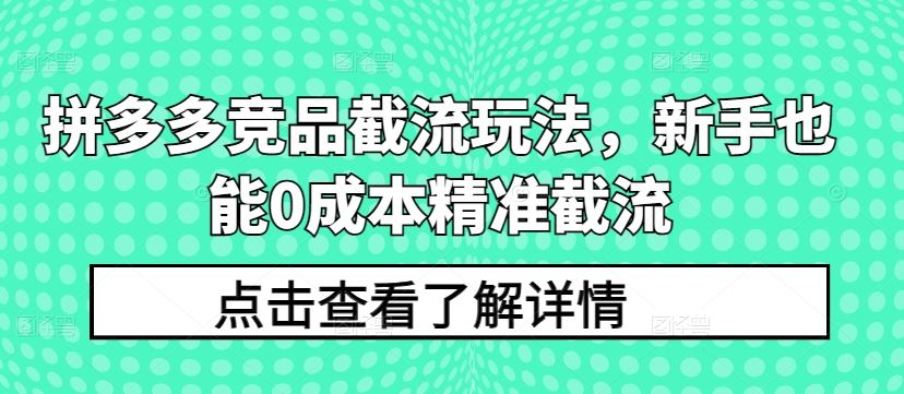 拼多多竞品截流玩法，新手也能0成本精准截流-东升网创