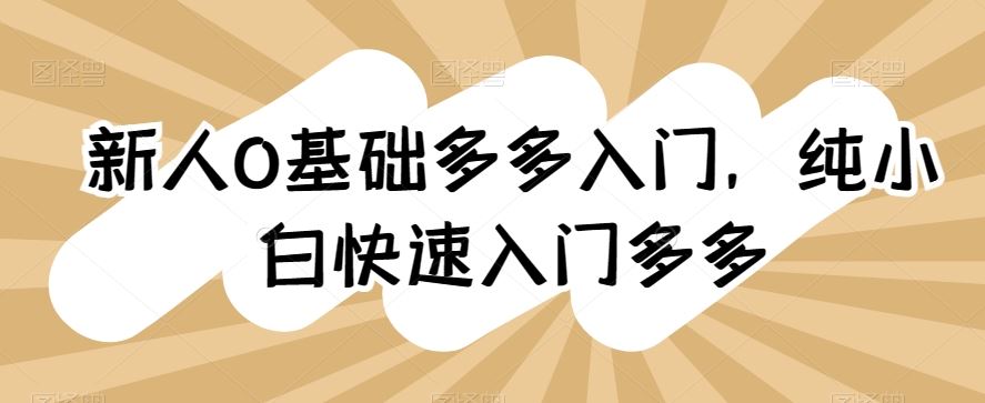 新人0基础多多入门，​纯小白快速入门多多-东升网创