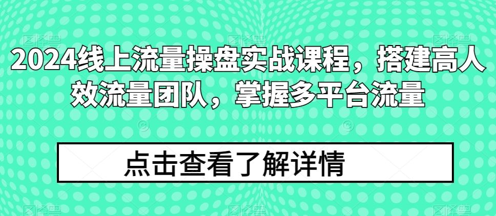 2024线上流量操盘实战课程，搭建高人效流量团队，掌握多平台流量-东升网创