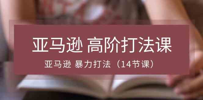 亚马逊高阶打法课，亚马逊暴力打法（14节课）-东升网创
