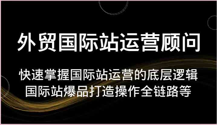 外贸国际站运营顾问-快速掌握国际站运营的底层逻辑，国际站爆品打造操作全链路等-东升网创