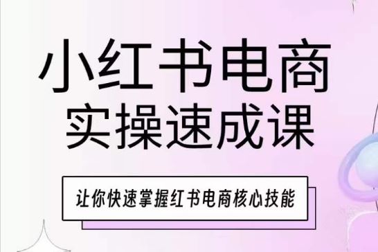 小红书电商实操速成课，让你快速掌握红书电商核心技能-东升网创