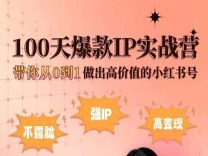 小红书100天爆款IP实战营，带你从0到1做出高价值的小红书号-东升网创