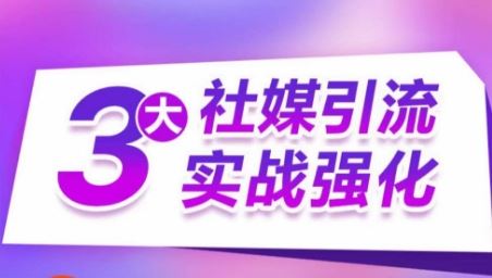3大社媒引流实战强化，多渠道站外引流，高效精准获客，订单销售额翻倍增长-东升网创