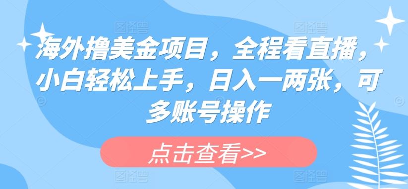 海外撸美金项目，全程看直播，小白轻松上手，日入一两张，可多账号操作【揭秘】-东升网创