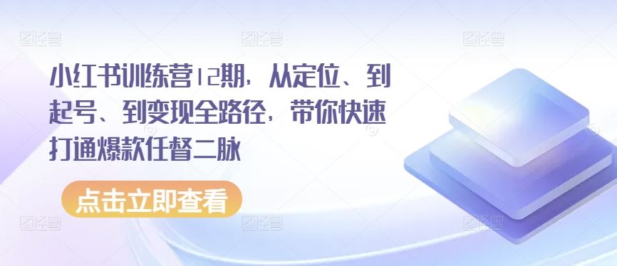 小红书训练营12期，从定位、到起号、到变现全路径，带你快速打通爆款任督二脉-东升网创