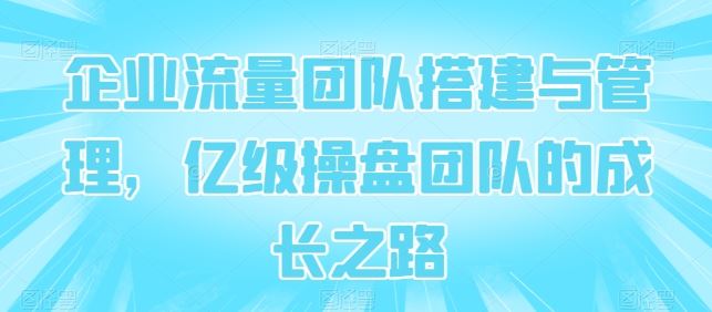 企业流量团队搭建与管理，亿级操盘团队的成长之路-东升网创