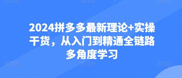 2024拼多多最新理论+实操干货，从入门到精通全链路多角度学习-东升网创