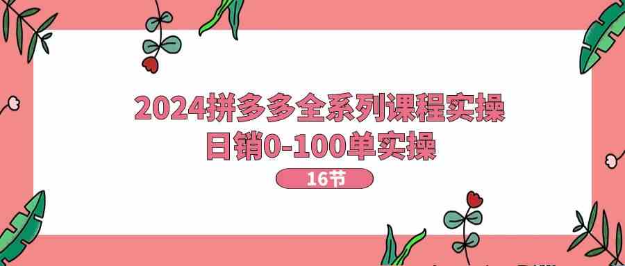 2024拼多多全系列课程实操，日销0-100单实操【16节课】-东升网创