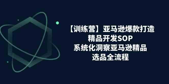 亚马逊爆款打造之精品开发SOP【训练营】，系统化洞察亚马逊精品选品全流程-东升网创