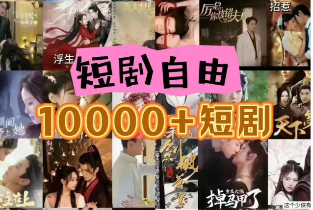 打造完全属于自己的个人短剧库，实现网盘拉新与私域变现的完美融合！-东升网创