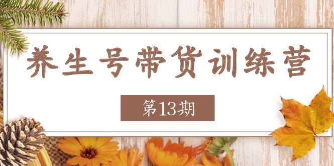 养生号带货训练营【第13期】收益更稳定的玩法，让你带货收益爆炸-东升网创