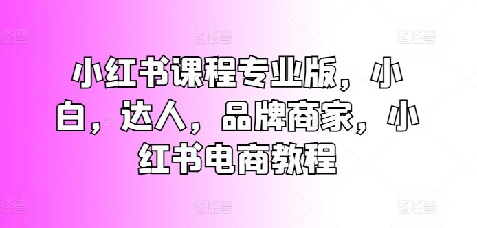 小红书课程专业版，小白，达人，品牌商家，小红书电商教程-东升网创