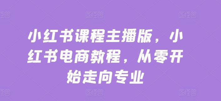 小红书课程主播版，小红书电商教程，从零开始走向专业-东升网创