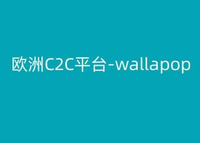 欧洲C2C平台-wallapop-kim跨境电商教程-东升网创