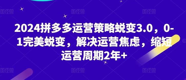 2024拼多多运营策略蜕变3.0，0-1完美蜕变，解决运营焦虑，缩短运营周期2年+-东升网创