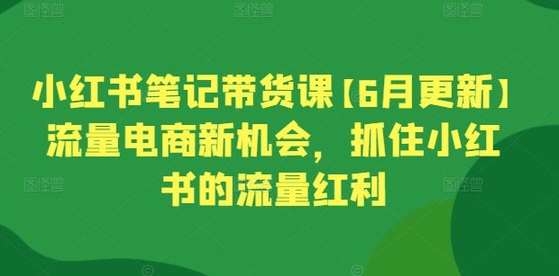 小红书笔记带货课【6月更新】流量电商新机会，抓住小红书的流量红利-东升网创