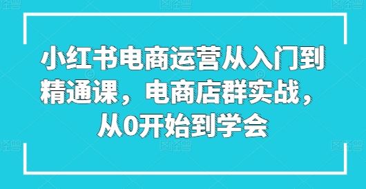 小红书电商运营从入门到精通课，电商店群实战，从0开始到学会-东升网创