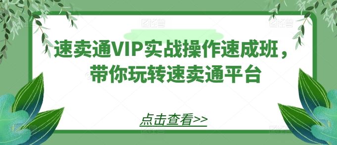 速卖通VIP实战操作速成班，带你玩转速卖通平台-东升网创