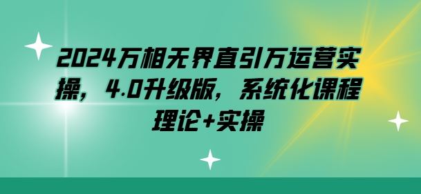 2024万相无界直引万运营实操，4.0升级版，系统化课程 理论+实操-东升网创