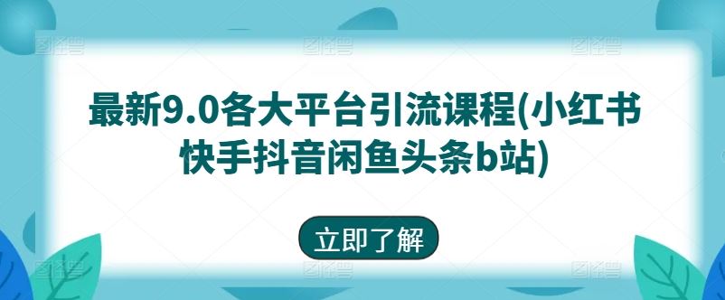 最新9.0各大平台引流课程(小红书快手抖音闲鱼头条b站)-东升网创