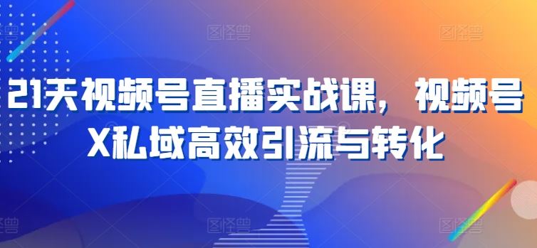 21天视频号直播实战课，视频号X私域高效引流与转化-东升网创