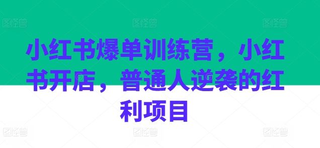 小红书爆单训练营，小红书开店，普通人逆袭的红利项目-东升网创