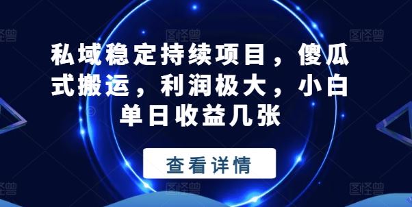 私域稳定持续项目，傻瓜式搬运，利润极大，小白单日收益几张【揭秘】-东升网创