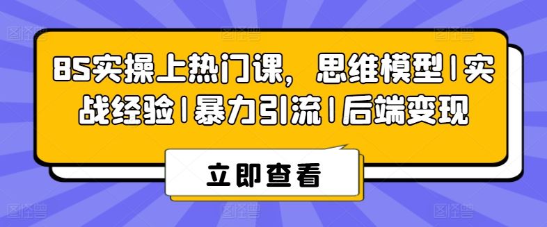 8S实操上热门课，思维模型|实战经验|暴力引流|后端变现-东升网创